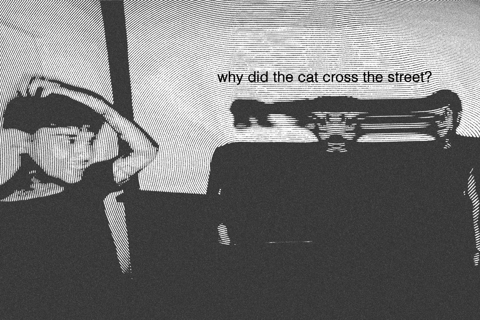 Why did the cat cross the street